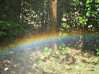 Self made rainbow, made in home garden by Khalid Mahmood