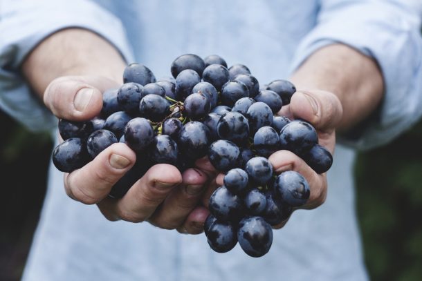 La relazione che il cibo crea