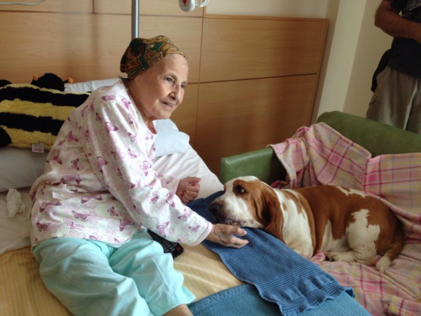 Un ricordo della pet therapy