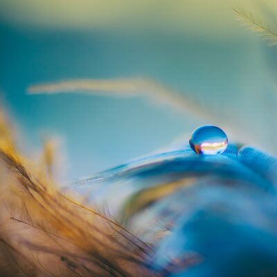 Droplet