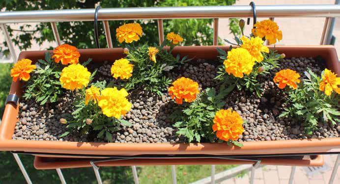 giardino_di_rosa_hospice