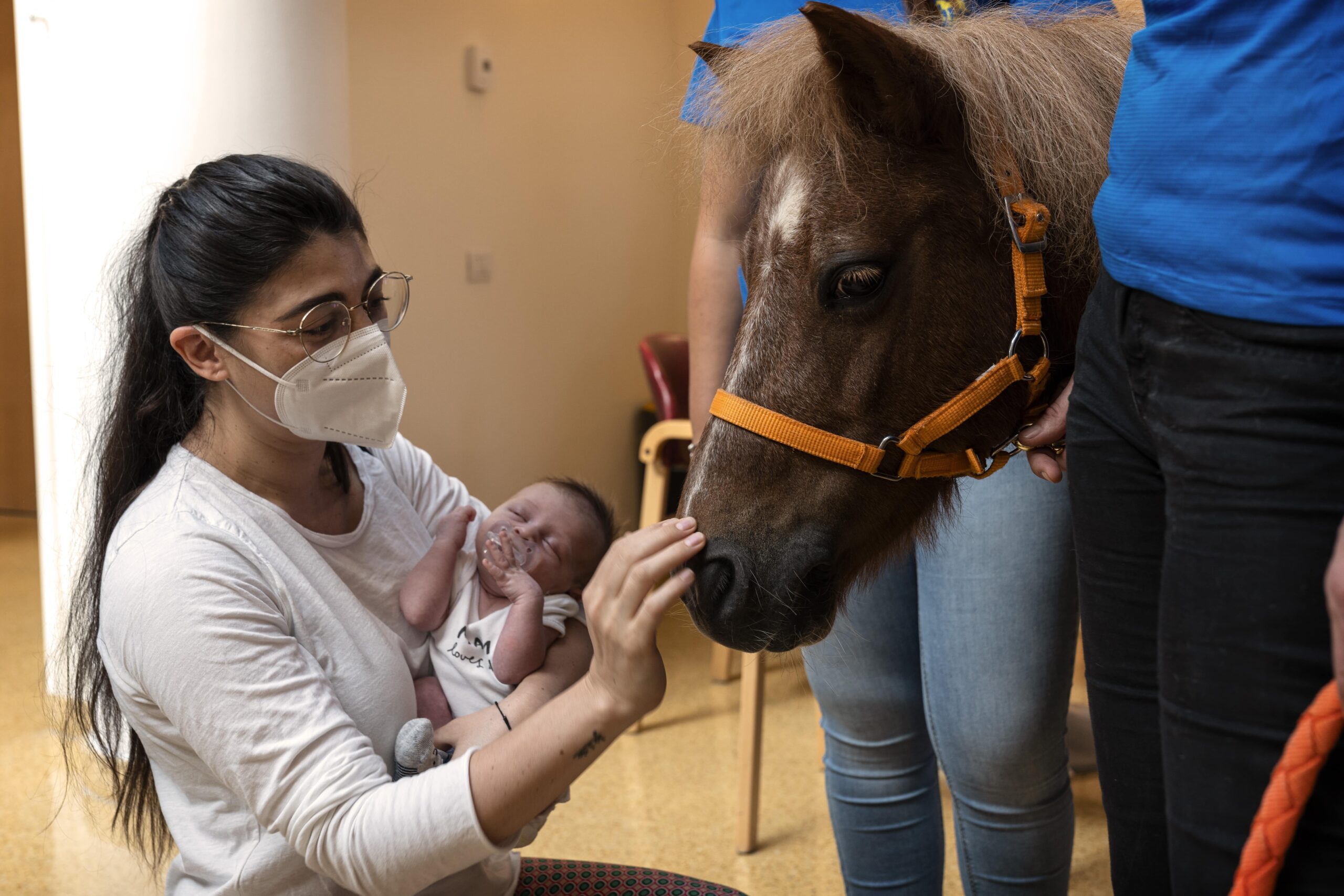 pet therapy