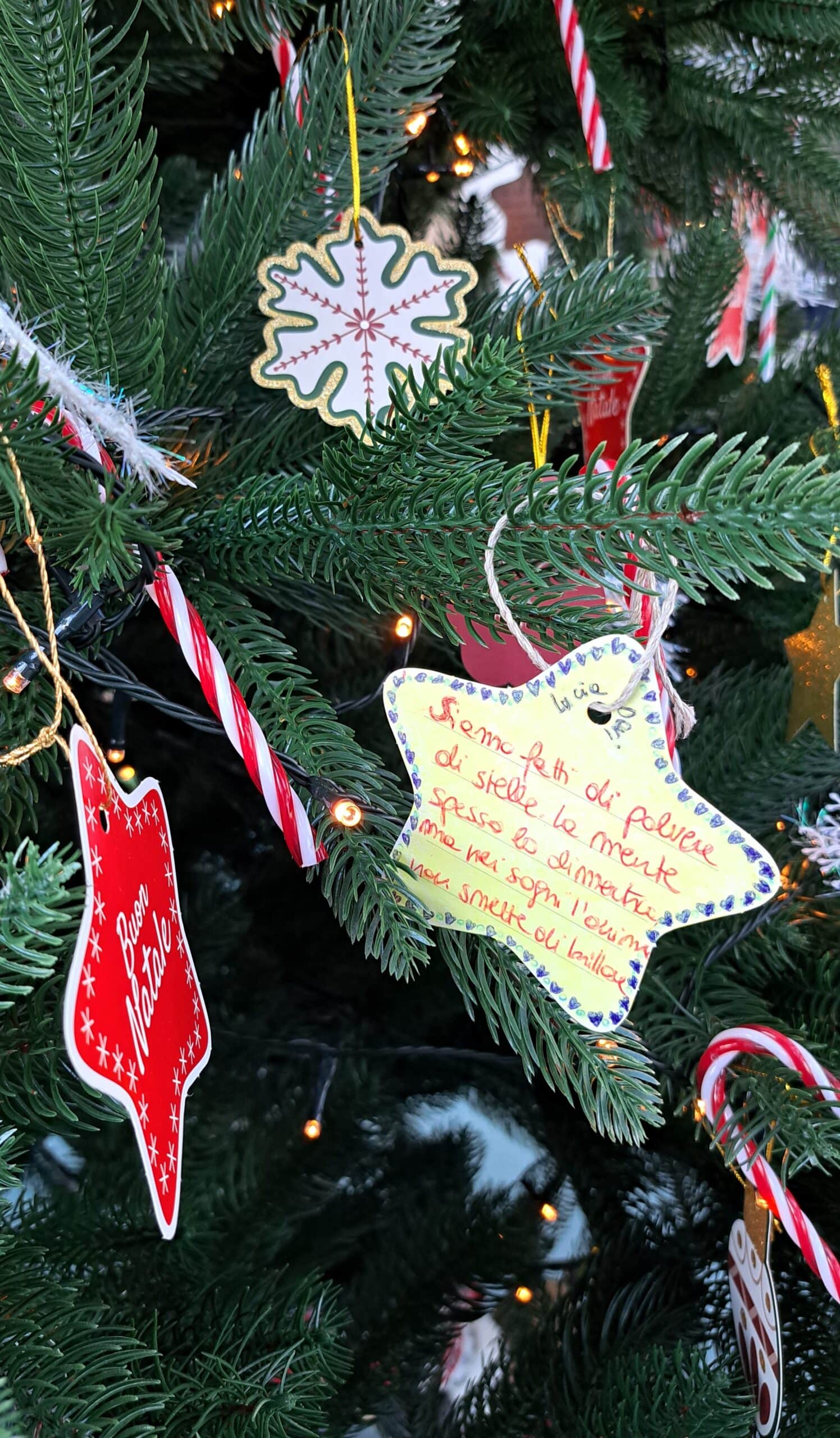 natale_vidas