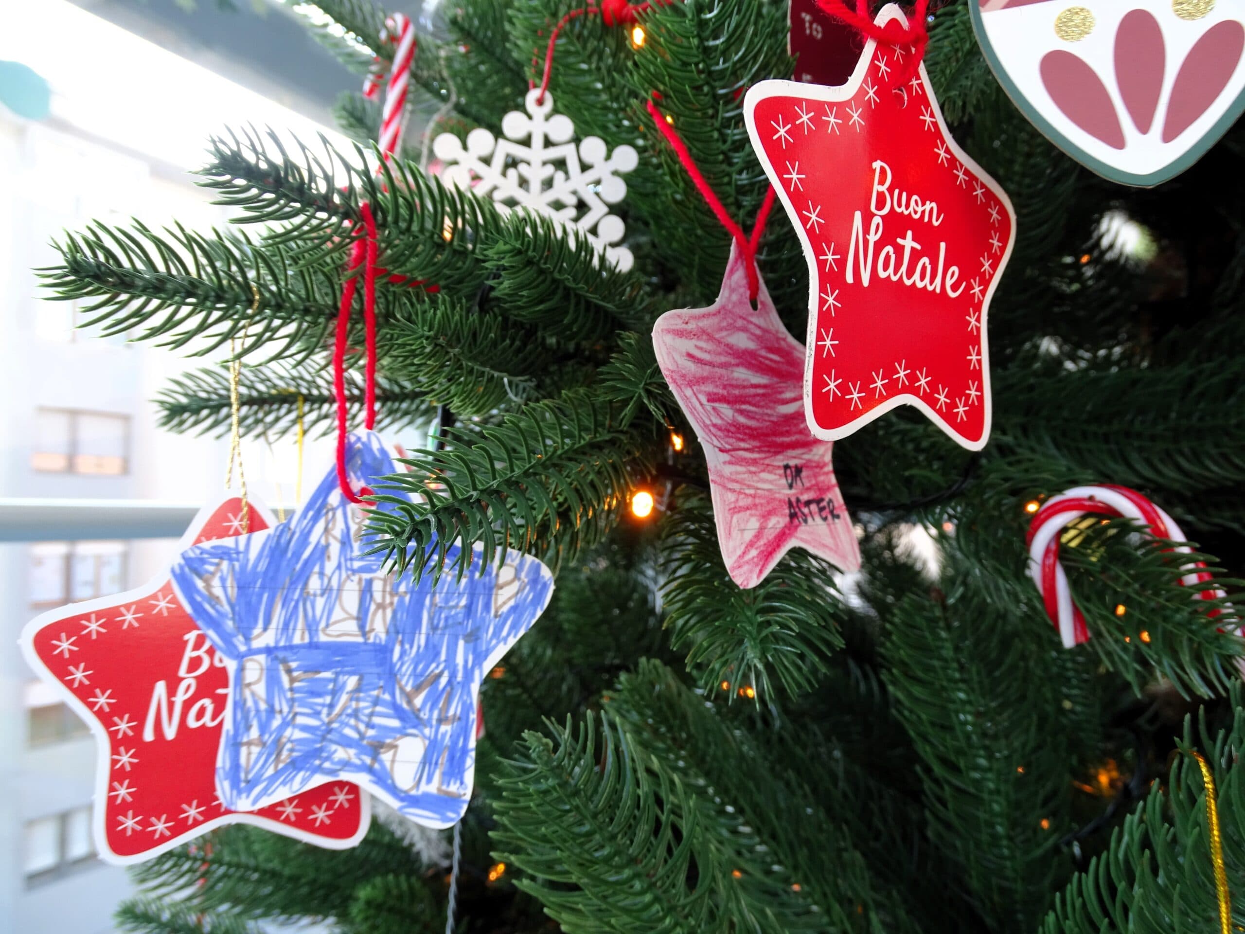natale_vidas