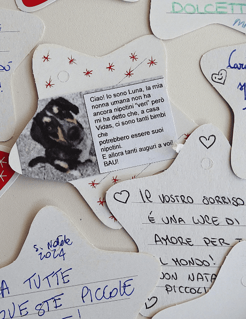 stellina_con_cane