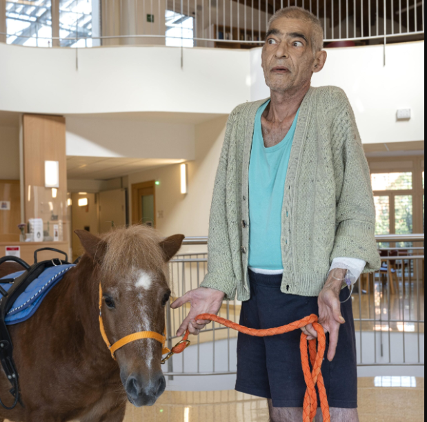 Henry_pet_therapy