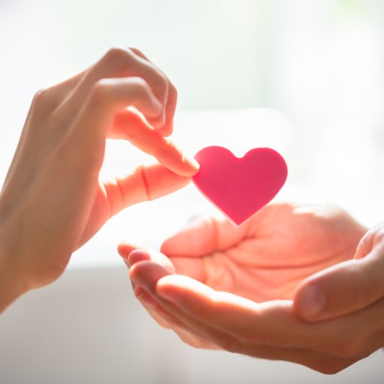 Regalare una donazione: come trasformare un gesto d'amore in un aiuto concreto